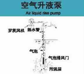 空气液压泵专用罗茨风机