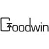 GOODWIN双板式止回阀