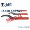 上海经销商专业批发SKF可调式钩形扳手HNA14-24