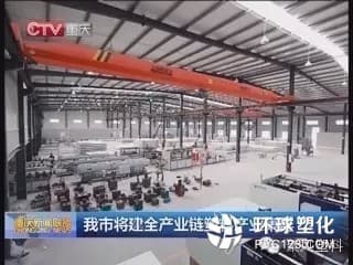 重庆泥建国内**完整塑料产业链集群